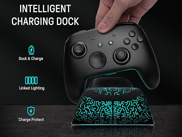 nintendo switch pro controller