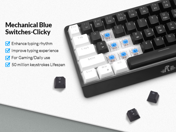 blue switches