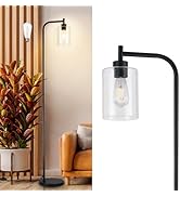DLLT Floor Lamp Tall for Room: Black Standing Lamp with Clear Glass Lampshade for Living Room - M...