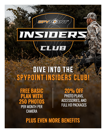 Insiders Club
