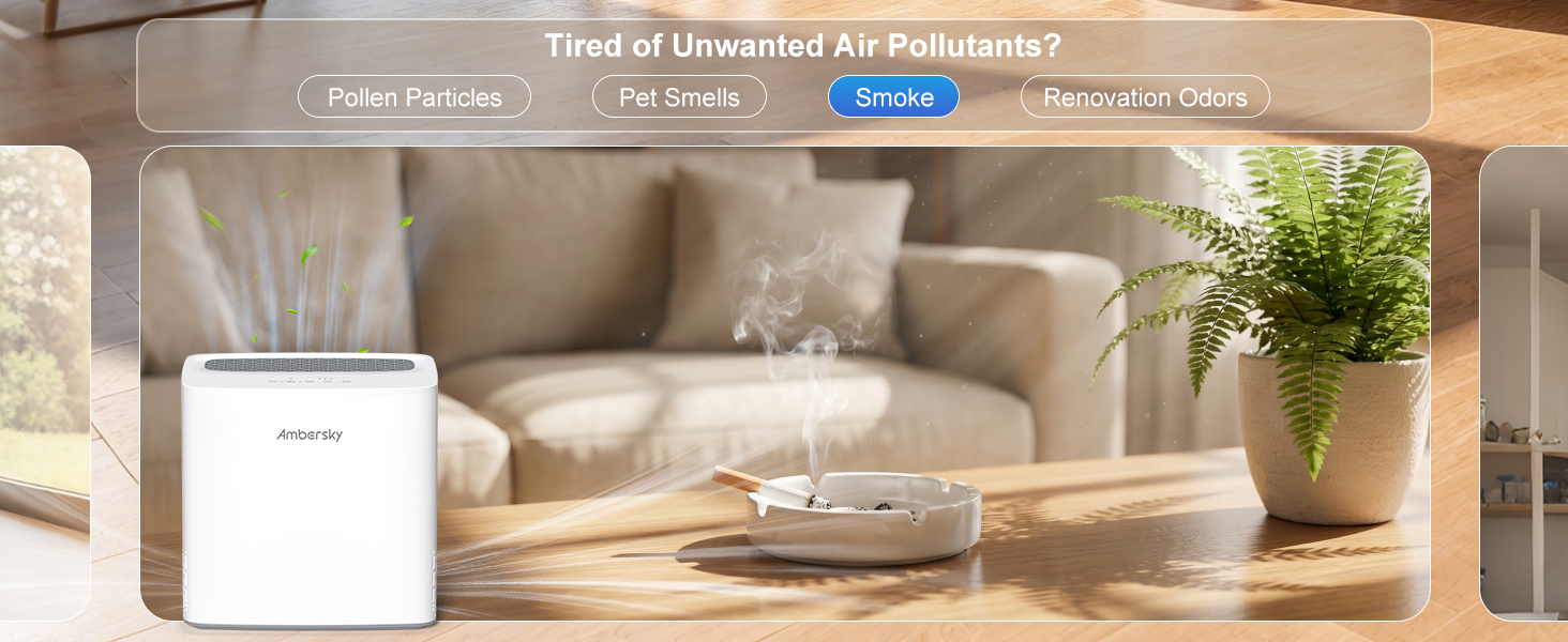 Air purifier for smoke
