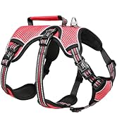 HEELE Dog Harness, Escape Proof Dog Harness, Release on Neck, No Pull Reflective Adjustable Vest ...