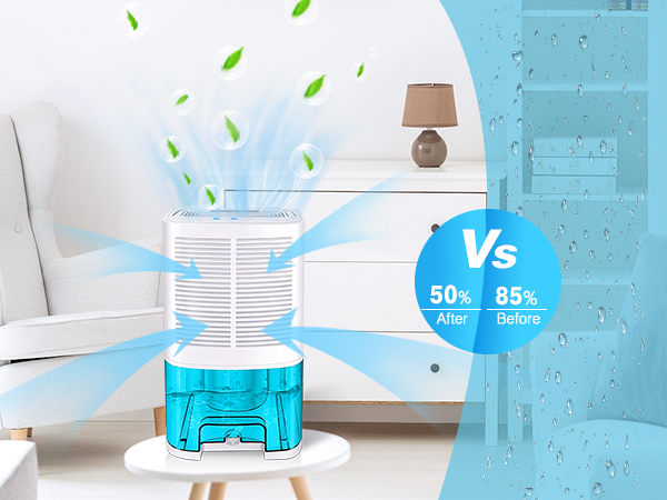 dehumidifier for bathroom