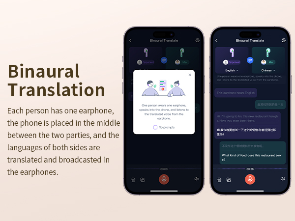 Live Voice Interpretation