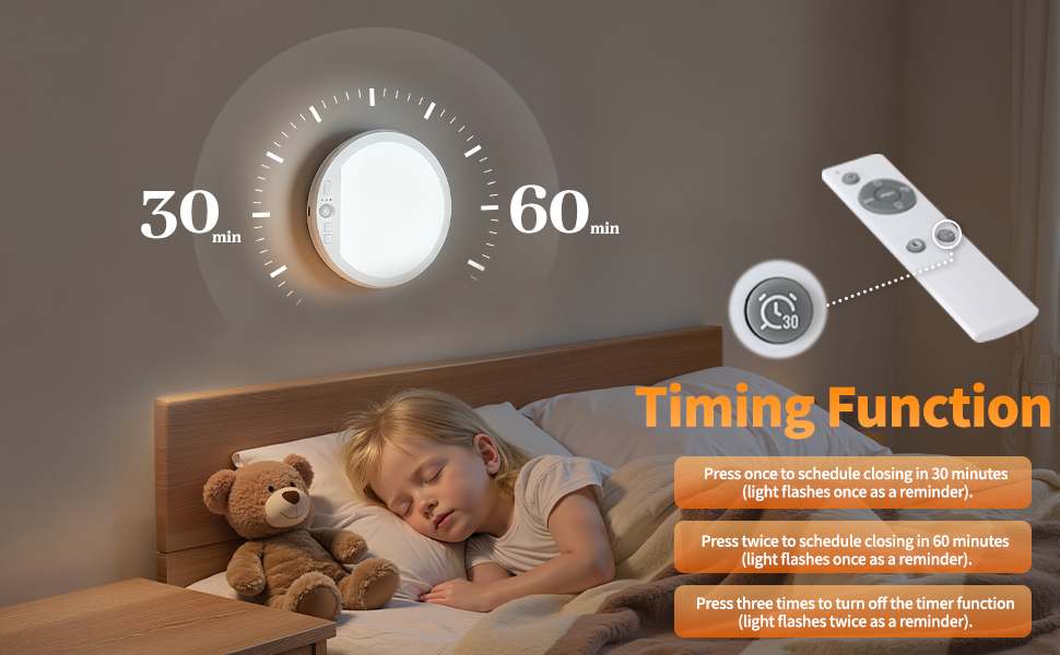 ceiling light with remote, timing function