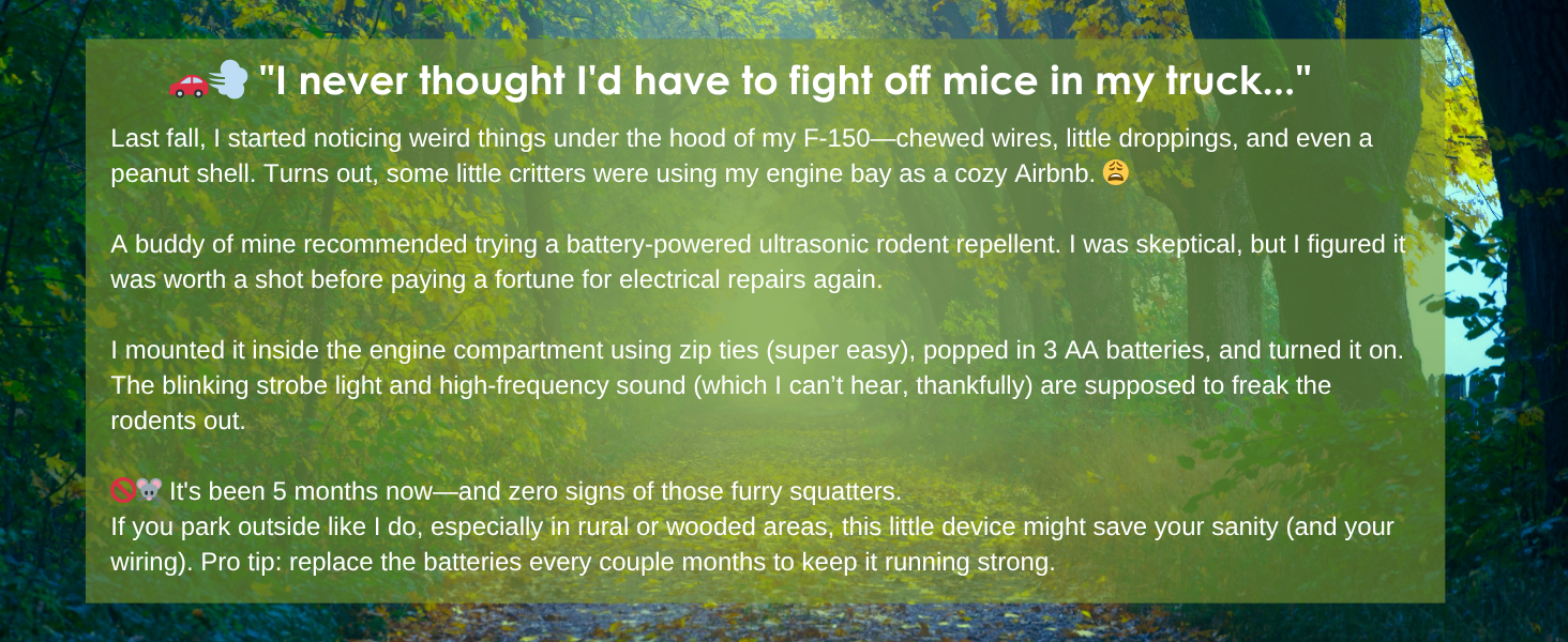 mouse deterrent for cars indoors