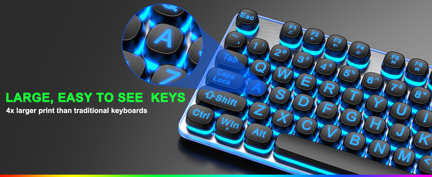 Large Print Backlit Keyboard