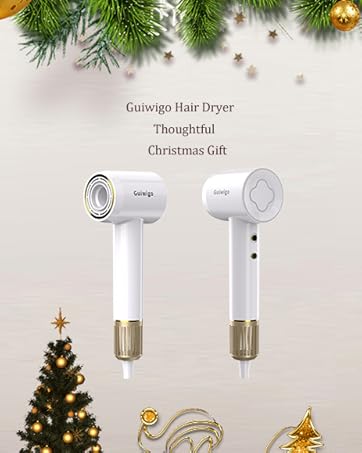 guiwigo christmas gift