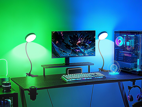 Desk Lamp