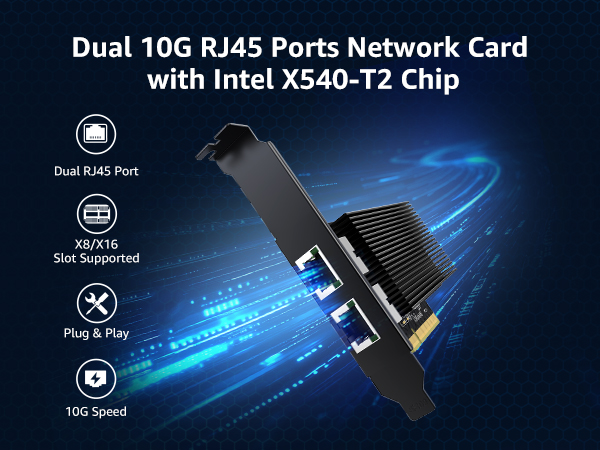 10g network card dual port
