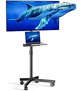 Xyndyx Mobile TV Cart for 23-60 Inch LCD LED OLED Flat Curved Screen Outdoor TVs Height Adjustabl...