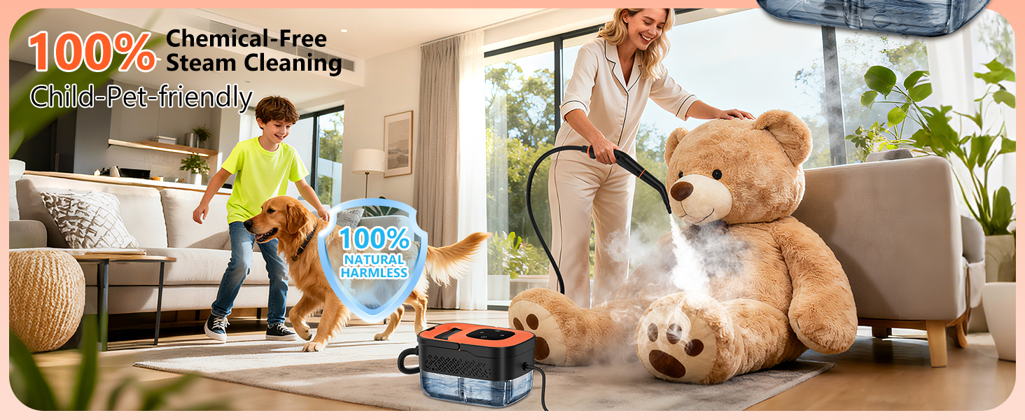 steam cleaner
