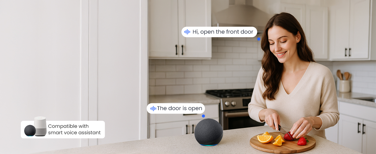 keyless entry door lock