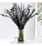 15pcs Real Black Eucalyptus Stems - Black Flowers and 17 Inch Preserved Natural Eucalyptus Leaves...
