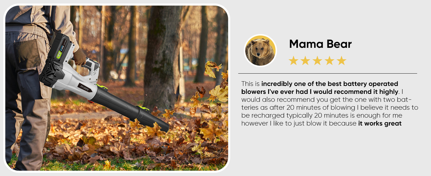 electric leaf blower