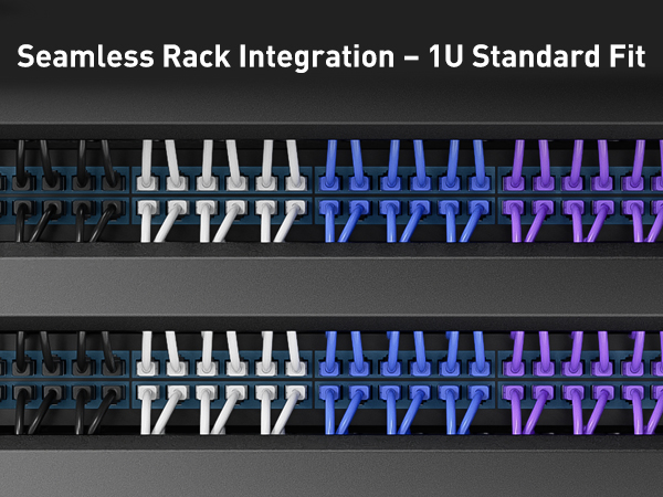 1u 12-slot rack cable management