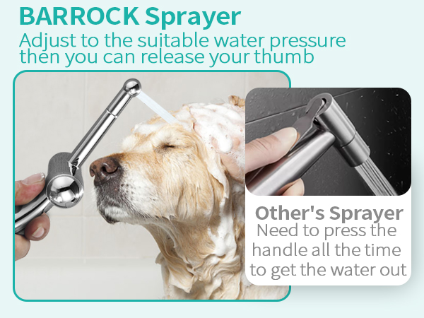 Hand Held Bidet Sprayer