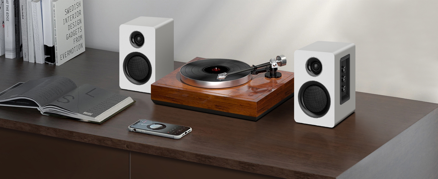 rca speakers for turntables
