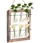 Elsjoy Wall Hanging Glass Planter, Double Layer Plant Terrarium Propagation Station, Mini 6 Bulb ...