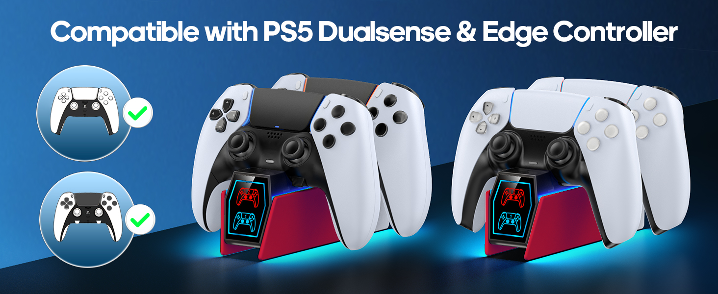 PS5 Controller Charger