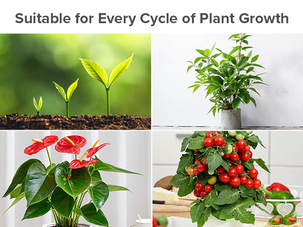 p20 10w grow light bulb