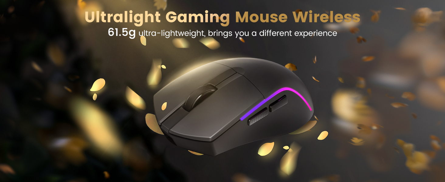 Wireless Gaming Mouse