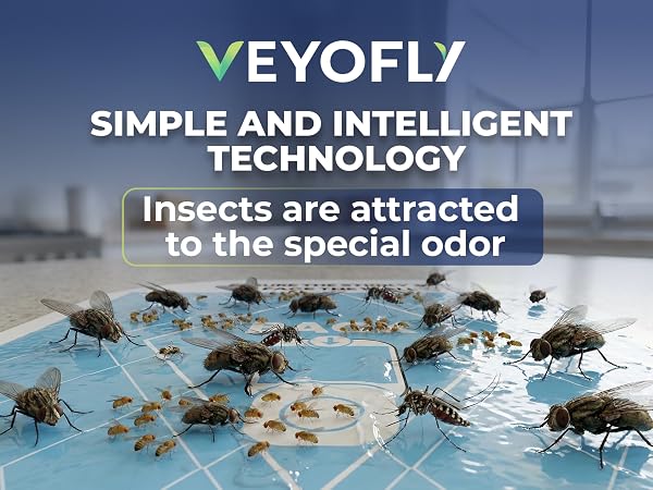 Refill Fly Traps