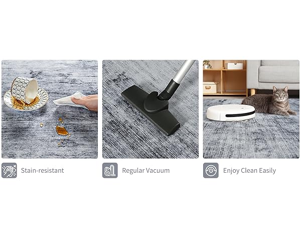 Easy Clean outdoor area rug