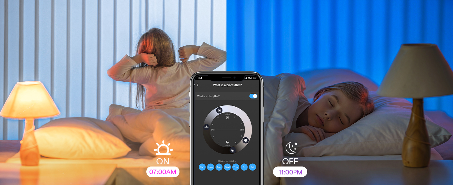 Circadian Rhythm