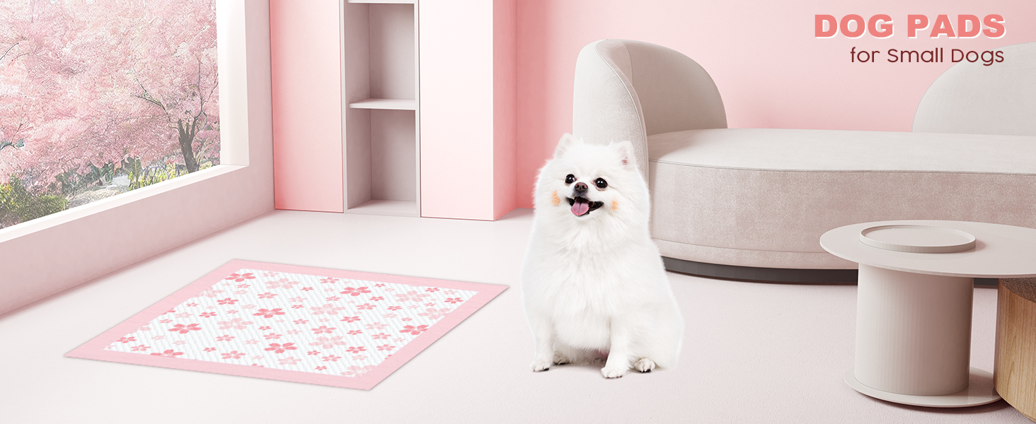 dog pee pads