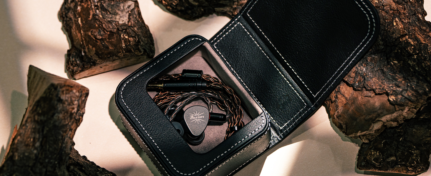 earbuds case