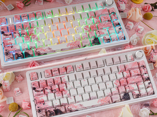 Pink Cherry Blossom Shine Through Keycaps