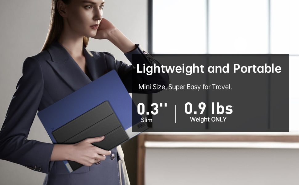 Mini portable monitor