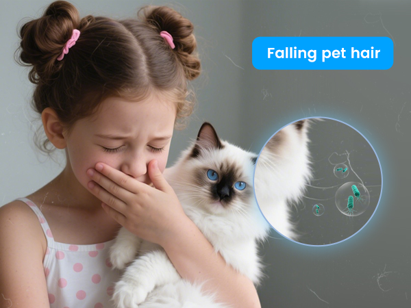 Pet Odors