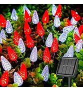 Brightown Solar Operated C6 Strawberry String Lights, 22.64ft 50 LEDs Red White LED Christmas Fai...