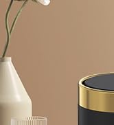 Mini Trash Can with Lid, Desktop Small Trash Can Recycling Bin Cute Metal Garbage Can for Tableto...