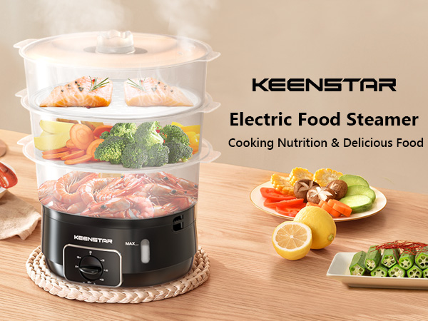 eletric food steamer