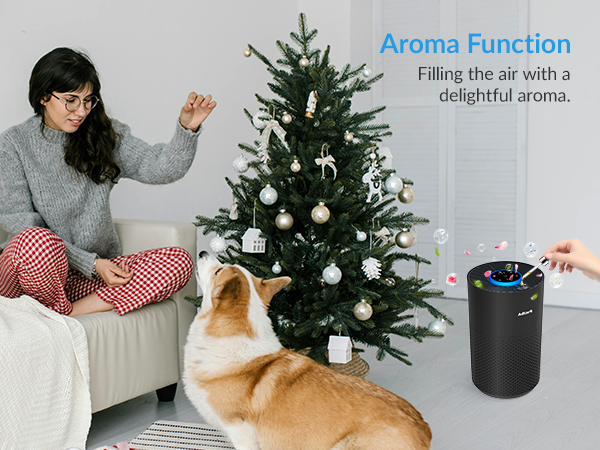air purifier for home