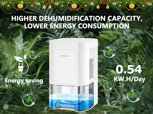 Dehumidifier for Home