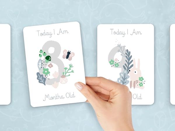 arker beautiful qutb dow modern anti slip senior dogs peel stick shoes dog paw grips anti-slip pet 