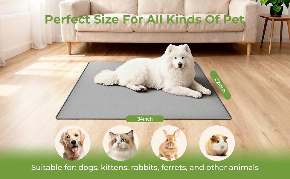dog food mat