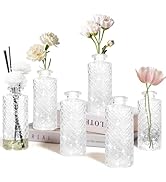 AssHMKIT Glass Flower Vase, White Transparent, Aromatherapy Bottle, Small Vase, 6 Sets, Simple, C...
