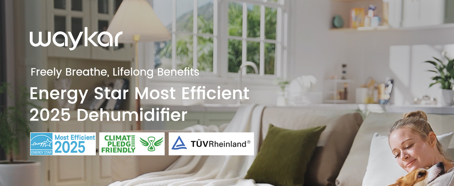 dehumidifier