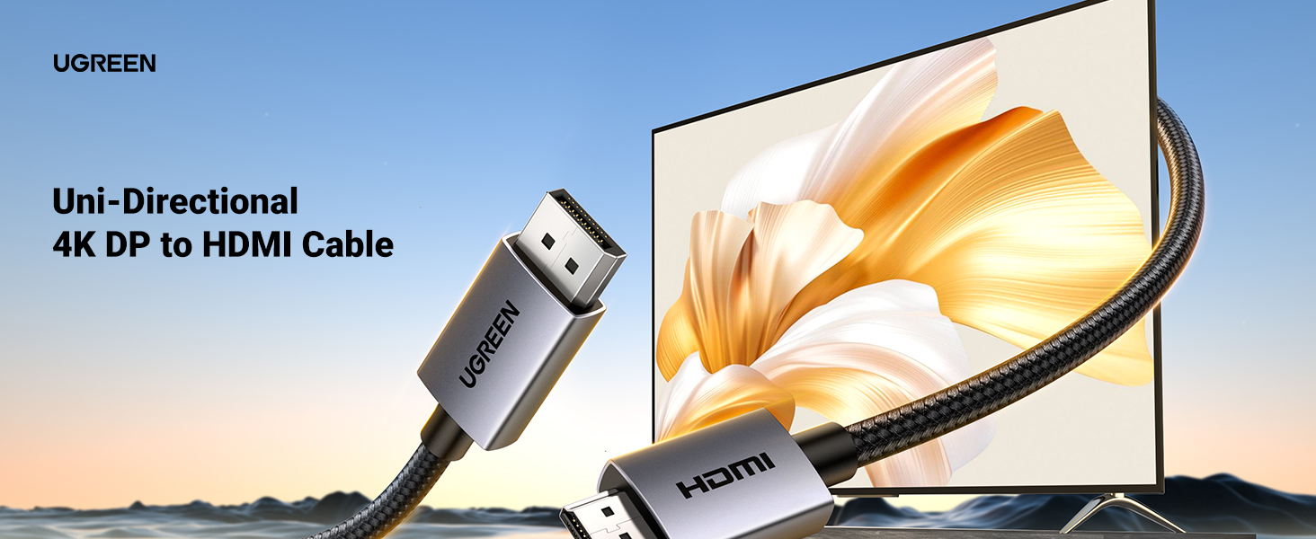 displayport to hdmi