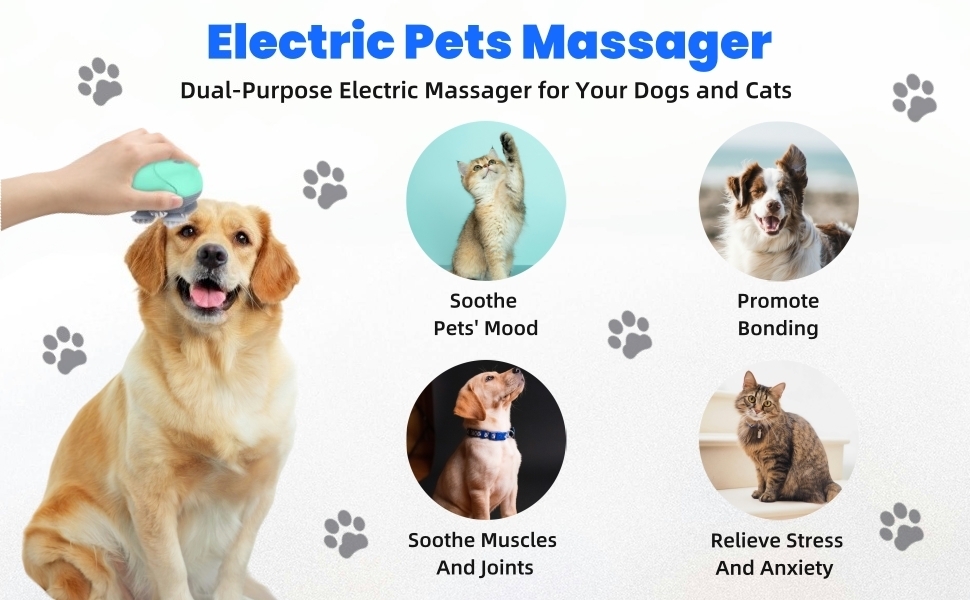 Electric Scalp Massager