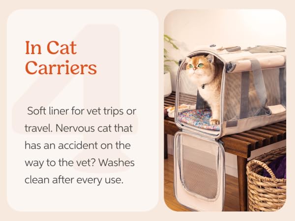 kitty litter mat soft polyester rug for cat paws, food station, resting space, and indoor pet care