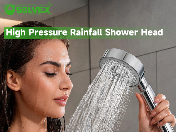 Shower Head with Handheld
