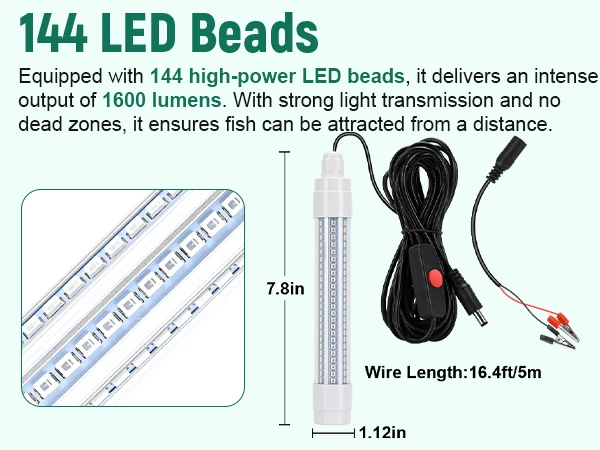 fish light
