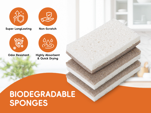 Kitchen Sponges