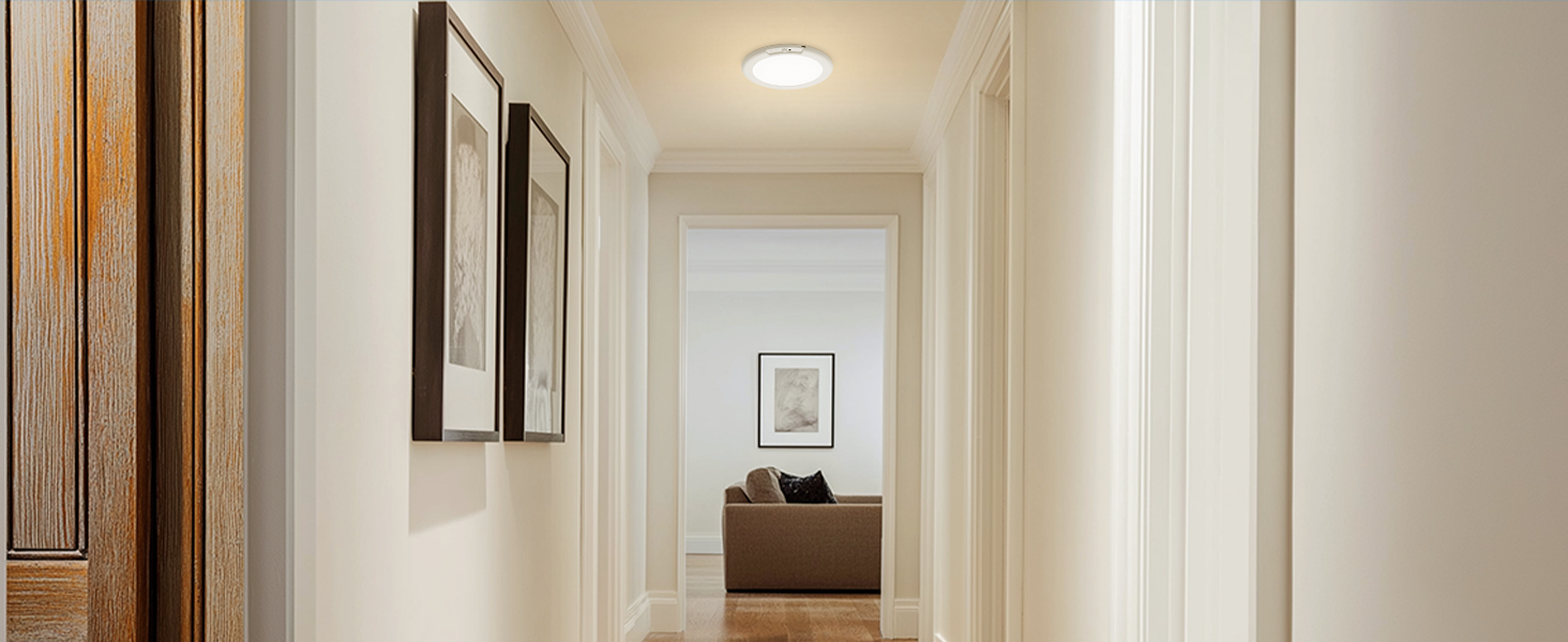 Battery Operated Ceiling Light